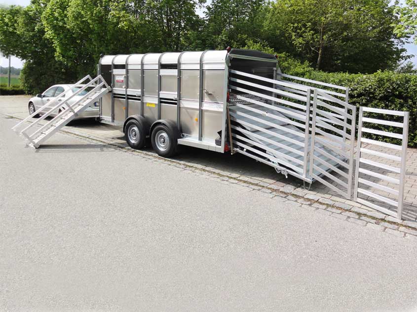 Anhänger für den Tiertransport von ifor Williams auf Tandemfahrgestell, teilbar, mit Tür, Easy-Load-Rampe und Rampengatter