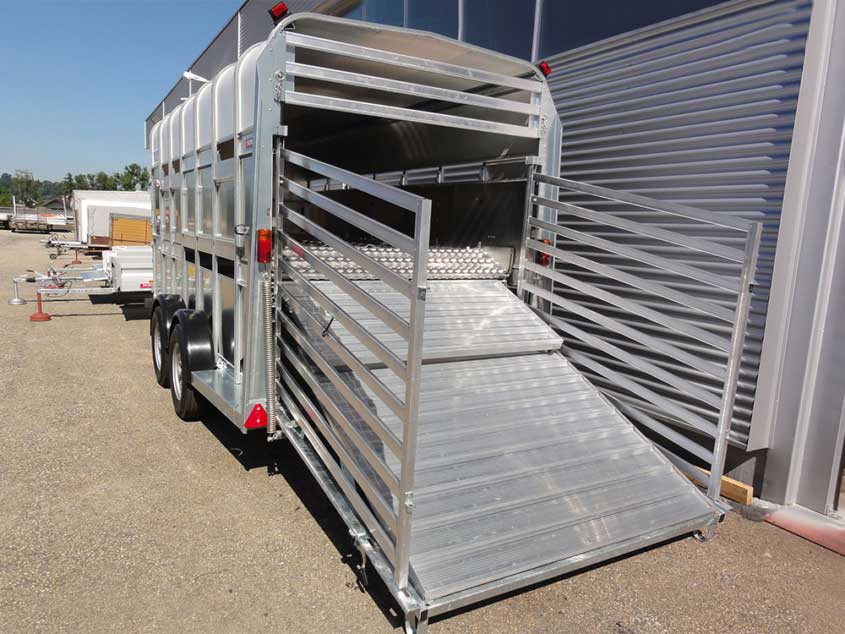 Anhänger für den Tiertransport von ifor Williams auf Tandemfahrgestell, teilbar, mit Tür, Easy-Load-Rampe und Rampengatter