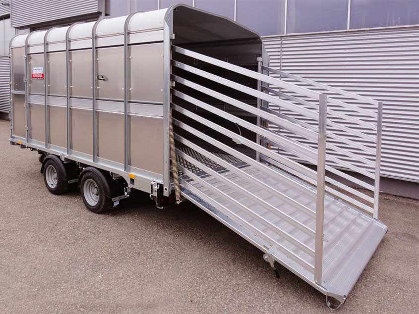 Anhänger für den Tiertransport von ifor Williams auf Tandemfahrgestell, teilbar, mit Tür, Rampe und Ladegitter