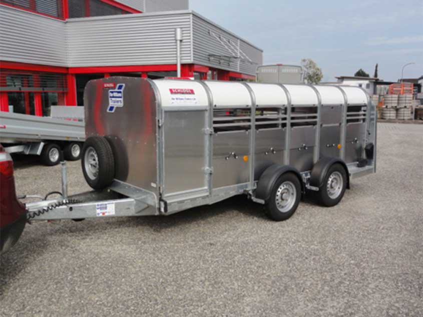 Niedriger Anhänger für den Tiertransport von ifor Williams auf Tandemfahrgestell, mit Tür und Rampe