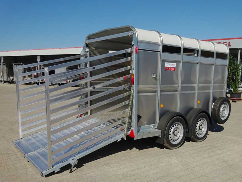Anhänger für den Tiertransport von ifor Williams auf Tandemfahrgestell, teilbar, mit Tür, Rampe, Rampengatter und Ersatzrad