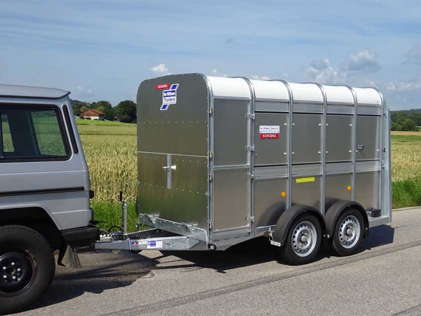 Viehanhänger von ifor Williams mit Tandemfahrgestell, teilbar, mit Tür und Rampe