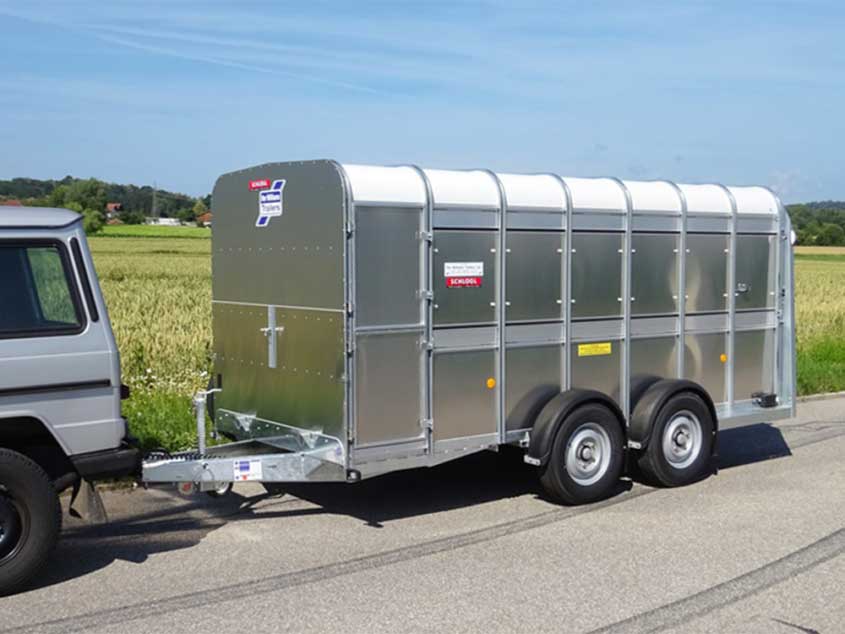 Anhänger für den Tiertransport von ifor Williams auf Tandemfahrgestell, teilbar, mit Tür und Rampe