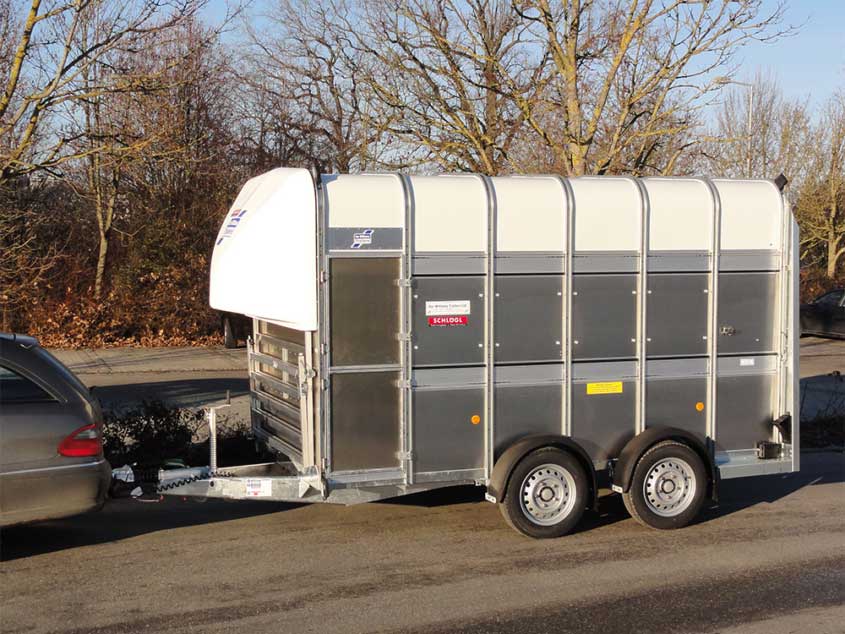 Viehanhänger von ifor Williams aus Alu mit Tandemfahrgestell und Türe, teilbar
