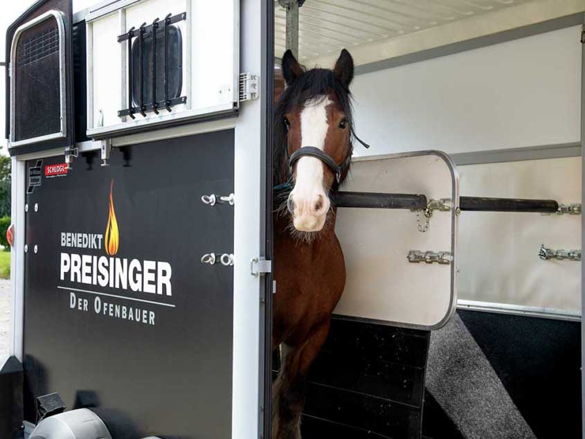 ifor Williams Pferdeanhänger